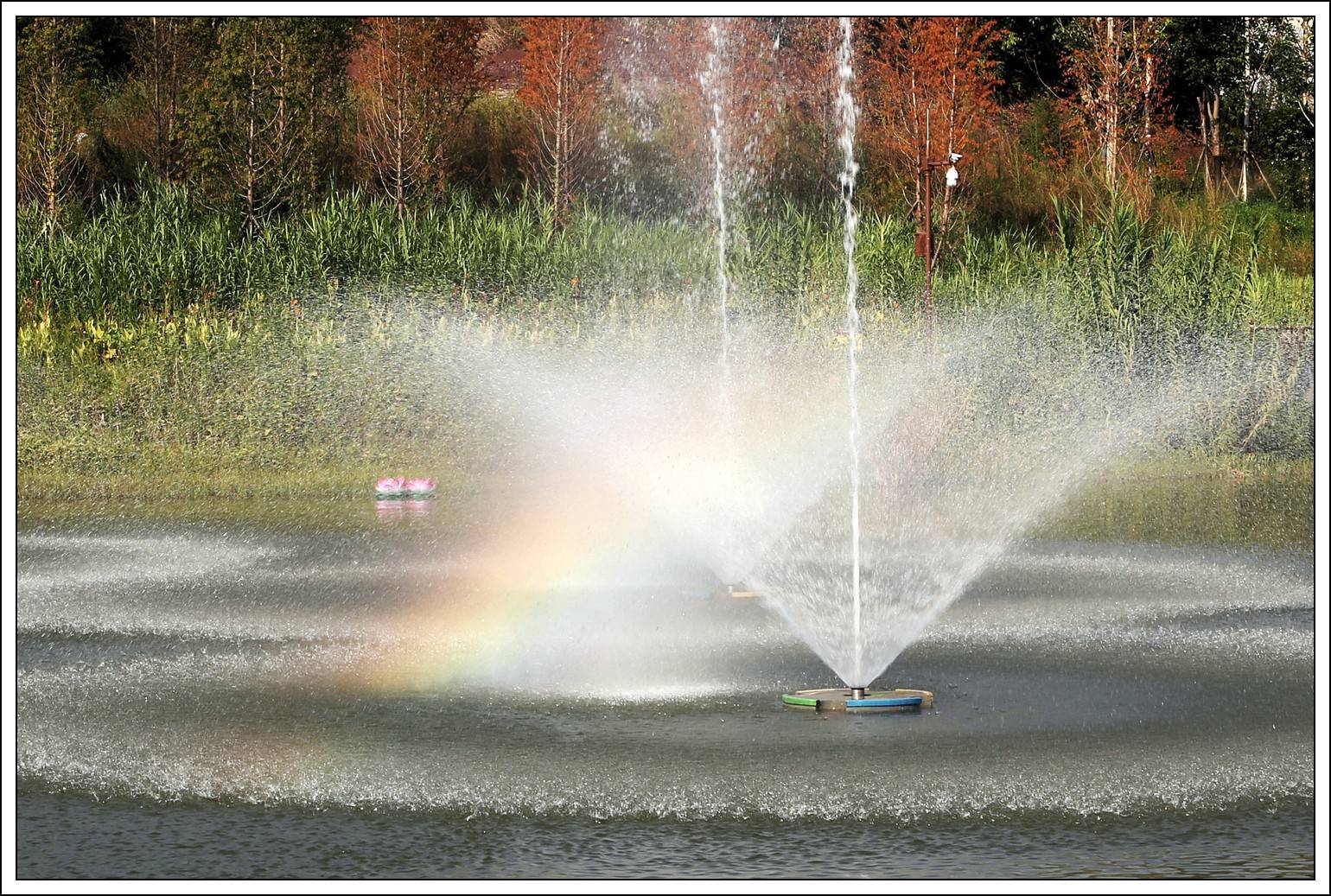 1659168183921849.jpg IMG_3762.jpg